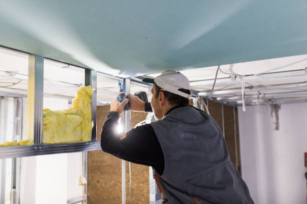 Best Commercial Insulation in Cimarron Hills, CO