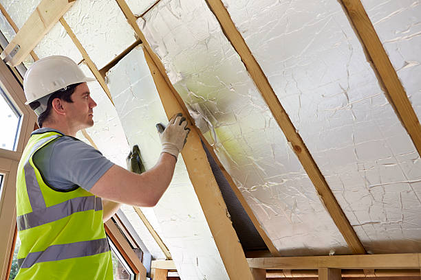 Best Insulation Maintenance and Repair in Cimarron Hills, CO